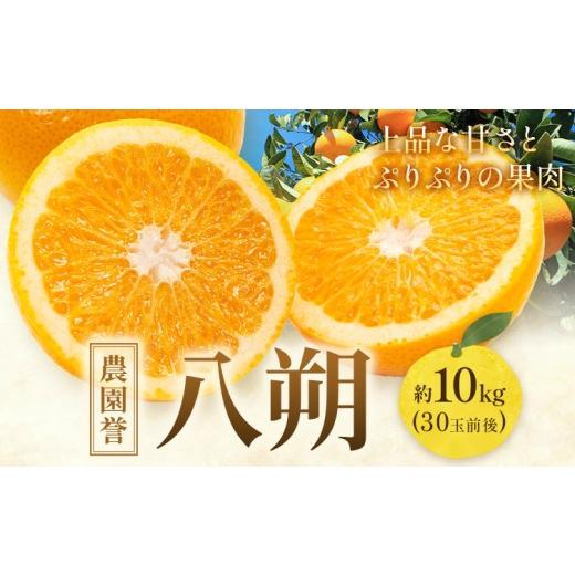 ふるさと納税 みかん・柑橘類 和歌山県 日高川町 八朔 約10kg (約30玉前後) 農園誉[2027年3月上旬-3月下旬頃出荷] 和歌山県 日高川町 はっさく みかん ミカ…