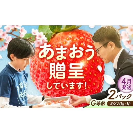 ふるさと納税 いちご 福岡県 広川町 4月発送 あまおうG等級 1ケース(約270g×2パック) 広川町 / JAふくおか八女農産物直売所どろや