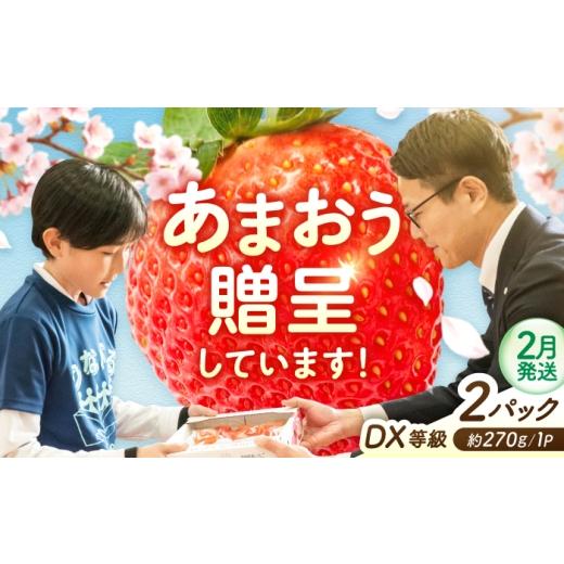ふるさと納税 いちご 福岡県 広川町 削除予定 2月発送 あまおうDX等級 1ケース(約270g×2パック) 広川町 / JAふくおか八女農産物直売所どろや