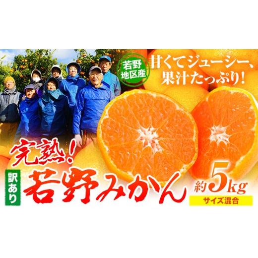 ふるさと納税 果物類 みかん 和歌山県 日高川町 訳あり みかん 5kg 完熟 若野みかん 約5kg サイズ混合 圦本農園 [11月下旬-12月中旬頃出荷]和歌山県 日高川…