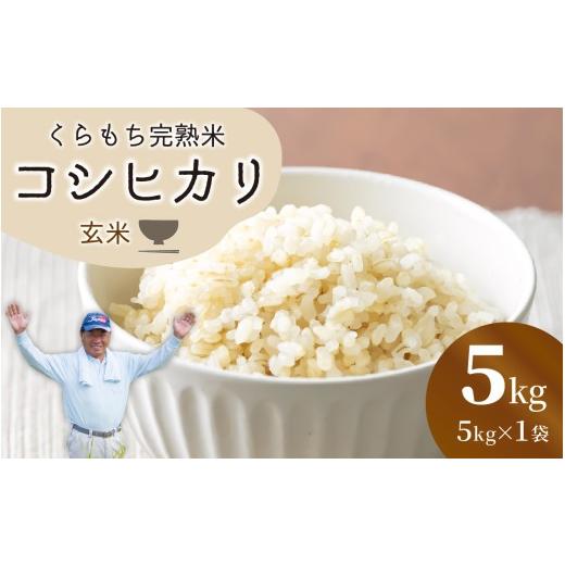 ふるさと納税 米 コシヒカリ 福井県 高浜町 先行予約 令和8年産 新米 くらもち完熟米 コシヒカリ (玄米)5kg 5kg×1回 | 11,500円