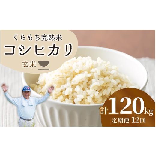 ふるさと納税 米 コシヒカリ 福井県 高浜町 先行予約 令和8年産 新米 12ヶ月定期便 くらもち完熟米 コシヒカリ (玄米)10kg(5kg×2袋)×12回 計120kg 10k…