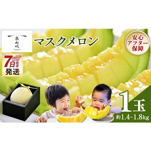 ふるさと納税 メロン メロン青肉 高知県 香南市 メロン 1玉入り 7日程度で発送 一果相伝マスク 最短配送 めろん 青肉 果物 くだもの フルーツ 贈答用 贈答品 …