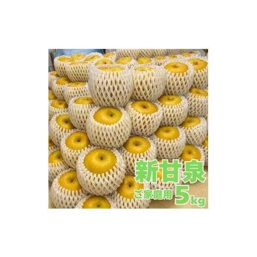 ふるさと納税 梨 鳥取県 湯梨浜町 362M.新甘泉5kg〔ご家庭用〕 東商果樹園