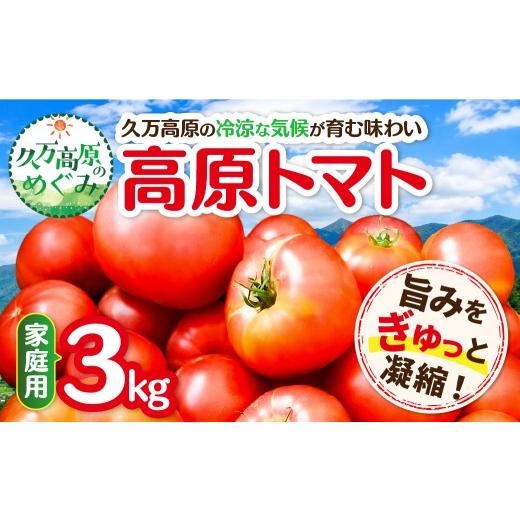 ふるさと納税 野菜類 トマト 愛媛県 久万高原町 家庭用 高原トマト 3kg |愛媛県久万高原町産 特別栽培 産地直送 旬 夏野菜 甘み 旨み 新鮮 採れたて 2026年7…