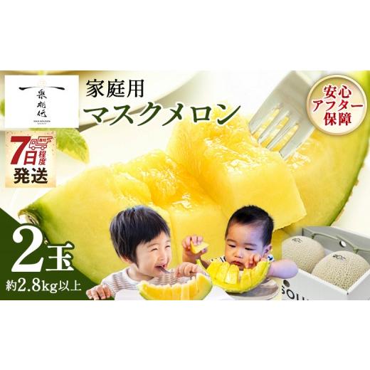 ふるさと納税 メロン メロン青肉 高知県 香南市 メロン 家庭用 2玉入り 7日程度で発送 一果相伝マスク 最短配送 果物 フルーツ ギフト 家庭用 美味しい 甘い …