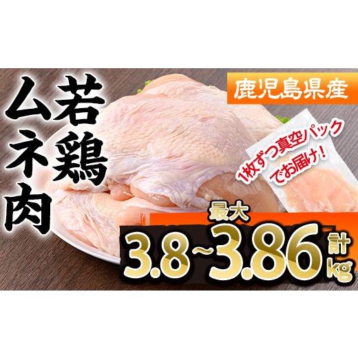 ふるさと納税 鶏肉 ムネ 鹿児島県 曽於市 鹿児島県産若鶏ムネ肉不定貫(計3.8〜最大3.86kg・300〜350g×12~14P) 鹿児島県 若鶏 鶏肉 株式会社羽根