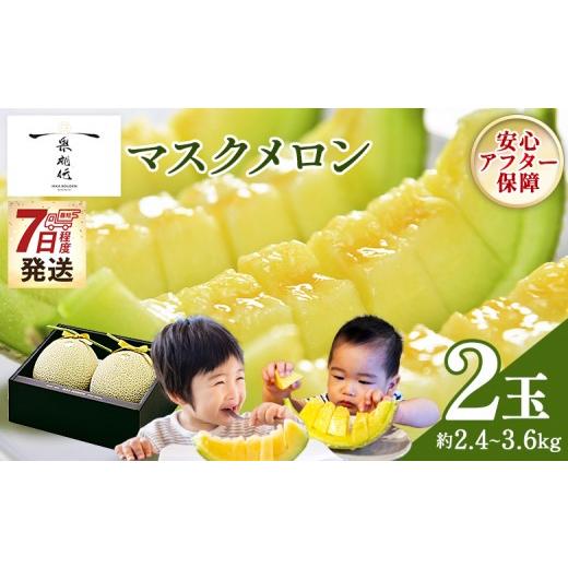ふるさと納税 メロン メロン青肉 高知県 香南市 7日程度で発送 一果相伝マスクメロン 2玉入り - 最短配送 送料無料 めろん 青肉 果物 くだもの フルーツ 贈答…