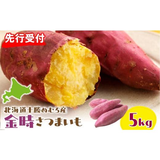 ふるさと納税 野菜類 サツマイモ 北海道 芽室町 先行受付 2026年10月20日頃から発送 北海道十勝芽室町 十勝めむろ産 さつまいも 金時 5kg me089-004c