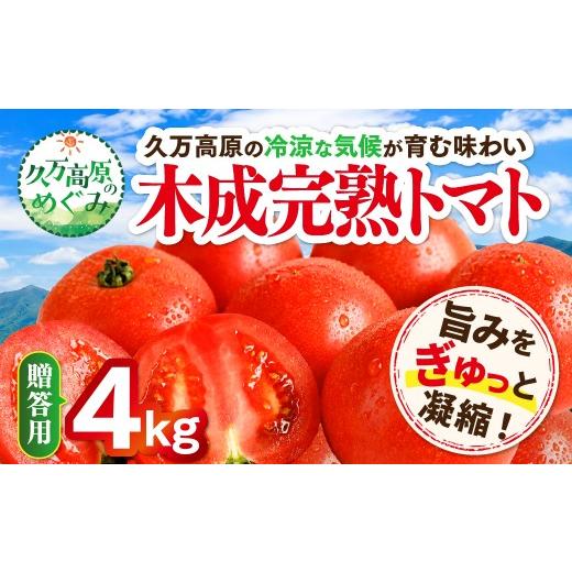 ふるさと納税 野菜類 トマト 愛媛県 久万高原町 贈答用 木成り完熟トマト 4kg|愛媛県久万高原町産 特別栽培 産地直送 旬 夏野菜 甘み 旨み 完熟トマト 新鮮 …