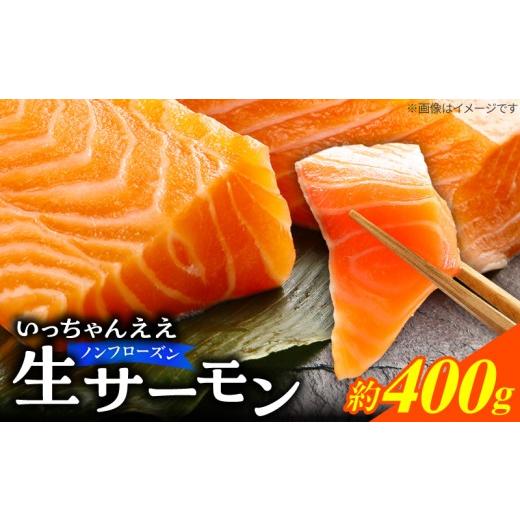ふるさと納税 魚貝類 サーモン 和歌山県 湯浅町 生サーモン ノンフローズン 約 400g アトランティックサーモン 鮭 手作業 ノルウェー産 刺身 寿司 丼 サラダ …