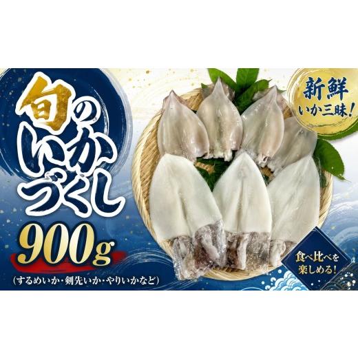ふるさと納税 イカ 島根県 浜田市 旬のいかづくし 計900g いか するめいか 剣先いか 白いか やりいか 詰め合わせ 開き 贈答 033_1791