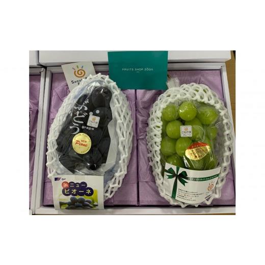 ふるさと納税 ぶどう マスカット 香川県 高松市 「さぬき讃フルーツ認定」シャインマスカット&NEWピオーネ詰め合わせ