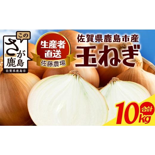 ふるさと納税 野菜類 玉ねぎ 佐賀県 鹿島市 ＼生産者直送/佐藤農場が育てた鹿島市産玉ねぎ 10kg| 鹿島市産 玉ねぎ 佐藤農場 産地直送 新鮮 野菜 大容量 B-91…