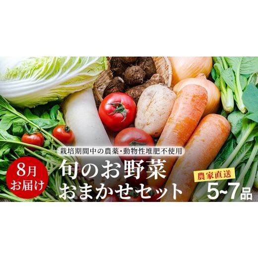 ふるさと納税 セット・詰合せ 茨城県 つくばみらい市 農家直送 旬のお野菜 おまかせセット 8月お届け (5~7品) 野菜セット 野菜 旬 詰め合わせ やさい おまか…