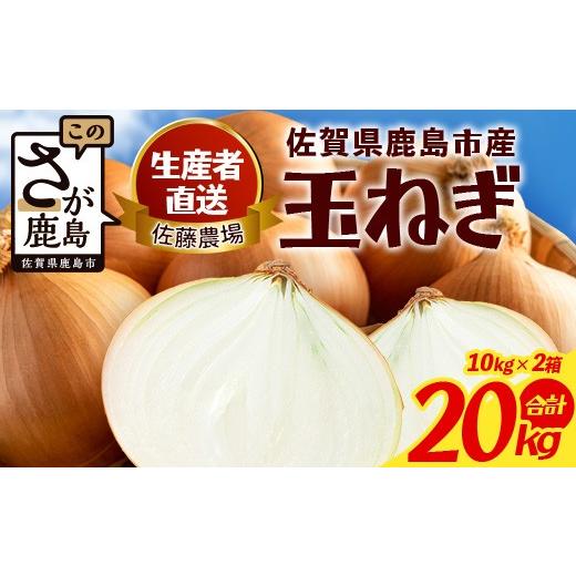 ふるさと納税 野菜類 玉ねぎ 佐賀県 鹿島市 ＼生産者直送/佐藤農場が育てた鹿島市産玉ねぎ 10kg×2箱(20kg)|鹿島市産 玉ねぎ 佐藤農場 産地直送 新鮮 野菜…