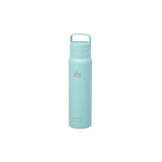 ふるさと納税 食器・グラス タンブラー 京都府 城陽市 TW 真空断熱 炭酸対応ボトル AB 500ml 保冷対応のステンレスボトル 81286121 1745198