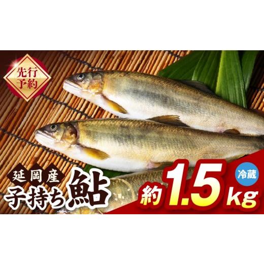ふるさと納税 川魚 あゆ 宮崎県 延岡市 先行予約 2026年10月下旬より発送開始 冷蔵 子持ち鮎約1.5kg N070-YB1106-1