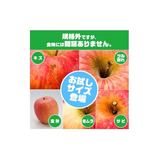 ふるさと納税 りんご 青森県 黒石市 訳ありりんご「早生ふじ」に、お試しサイズ3kgが登場 1748542