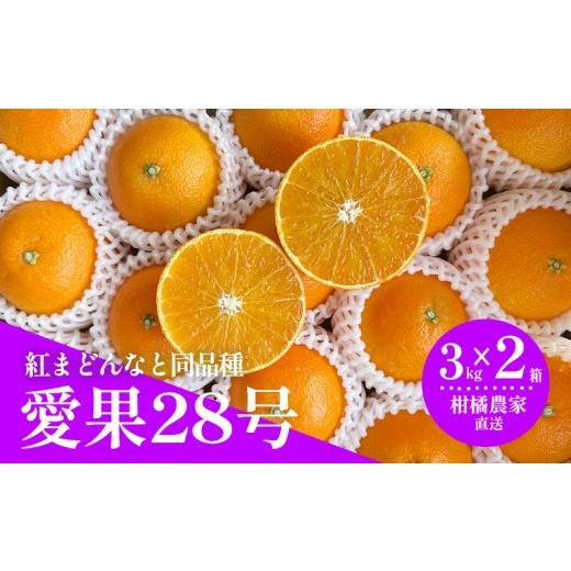 ふるさと納税 みかん・柑橘類 愛媛県 松山市 2026年11月下旬頃から順次発送 数量限定 愛果28号(紅まどんなと同品種) 約3kg×2箱| 愛媛 あいか 柑橘 あいか…