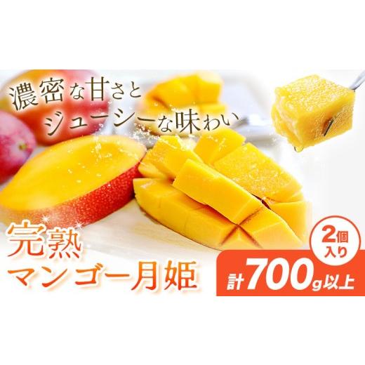 ふるさと納税 マンゴー 鹿児島県 さつま町 完熟 マンゴー月姫 計700g以上(2個入り) 株式会社日野洋蘭園[6月中旬-7月下旬頃出荷]鹿児島県 さつま町 マンゴー …