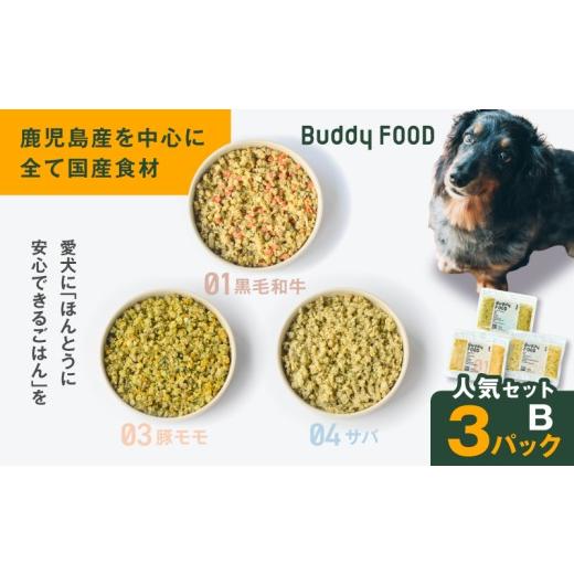 ふるさと納税 牛肉 鹿児島県 鹿児島市 Buddy FOOD 人気セットB 3種3パック(黒毛和牛、豚モモ、サバ) K390-002_12 (12)人気セットB 3種6パック(黒毛和牛、…
