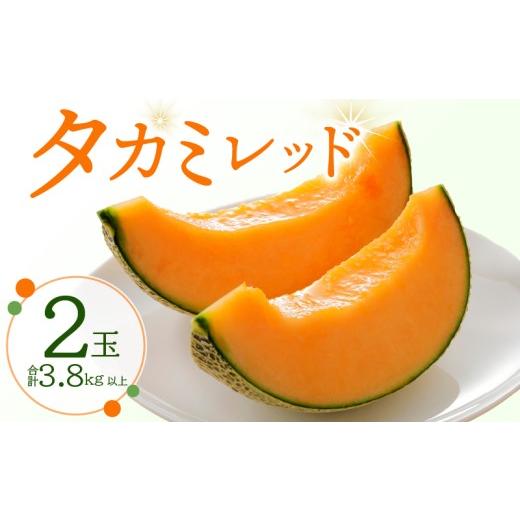 ふるさと納税 メロン メロン赤肉 千葉県 銚子市 メロン 2玉入 タカミレッド 先行予約 5Lサイズ 2027 期間限定 季節限定 melon meron くだもの 果物 フルーツ …