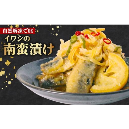ふるさと納税 惣菜・レトルト 冷凍 千葉県 旭市 いわし の 南蛮漬け ( 1パック 500g ) 鰯 イワシ 真いわし いわし南蛮漬け 冷凍 時短 おかず 惣菜 お弁当 簡…