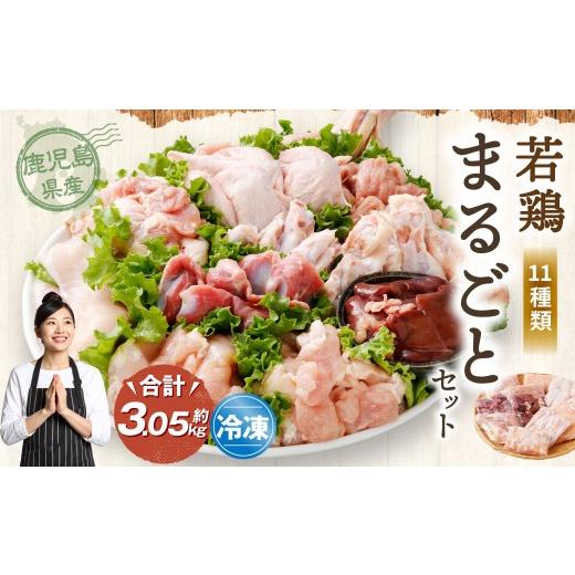 ふるさと納税 鶏肉 セット 鹿児島県 薩摩川内市 鹿児島県産 若鶏まるごと 約3.05kgセット 若鶏 もも肉 モモ肉 カット むね肉 ささみ 砂肝 肝 手羽先 手羽中 手…