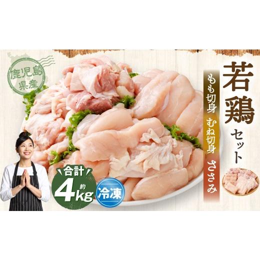 ふるさと納税 鶏肉 セット 鹿児島県 薩摩川内市 鹿児島県産 若鶏 約4kg ビッグセット 若鶏 もも肉 モモ肉 むね肉 カット ささみ 焼肉 小分け 鶏肉 冷凍 BS-149