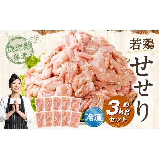 ふるさと納税 鶏肉 鹿児島県 薩摩川内市 鹿児島県産 若鶏 小肉 (せせり)約3kg セット セセリ 鶏肉 冷凍 BS-399