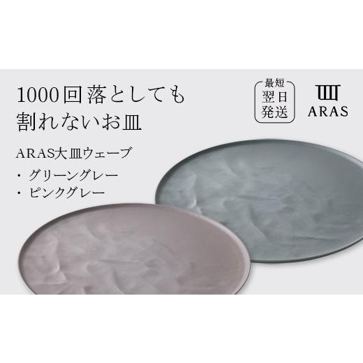 ふるさと納税 食器・グラス 皿 石川県 加賀市 ARAS 大皿ウェーブ 2枚セット カラー:グリーングレー&amp;ピンクグレー 27cm 大皿 プレート 割れない 保証付き …