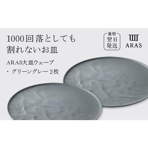 ふるさと納税 食器・グラス 皿 石川県 加賀市 ARAS 大皿ウェーブ 2枚セット カラー:グリーングレー2枚 27cm 大皿 プレート 割れない 保証付き ARAS エイラス …