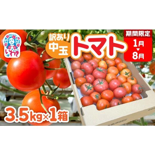 ふるさと納税 野菜類 トマト 福島県 いわき市 1月〜8月 訳あり 中玉 トマト 約3.5kg×1箱 | 訳あり トマト 中玉トマト 3.5kg 1箱 産地直送 野菜 国産 福島県 …