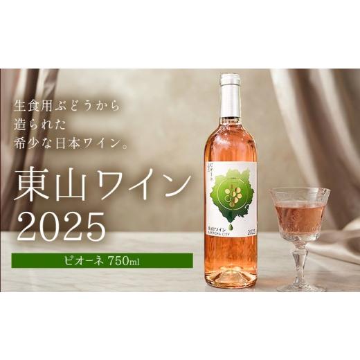 ふるさと納税 果汁飲料 ぶどう 岡山県 笠岡市 東山ワイン2025 750ml ピオーネ 東山農園[30日以内に出荷予定(土日祝除く)] 岡山県 笠岡市 ブドウ 葡萄 ギフト…