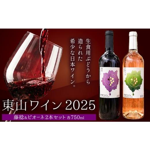 ふるさと納税 果汁飲料 ぶどう 岡山県 笠岡市 東山ワイン2025 750ml 藤稔 ピオーネ 2本セット 東山農園[30日以内に出荷予定(土日祝除く)] 岡山県 笠岡市 ブ…