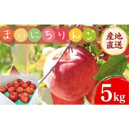 ふるさと納税 りんご 岩手県 盛岡市 11月30日~発送 訳あり りんご サンふじ 5kg 先行予約 りんご 果物 くだもの フルーツ 林檎 リンゴ サンふじ サンフジ 産…