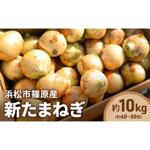 ふるさと納税 野菜類 玉ねぎ 静岡県 浜松市 浜松市篠原産「新たまねぎ(黄色)約10kg(約40〜50個)」 たまねぎ 玉葱 玉ねぎ 野菜 食べやすい 上品な食感 サラ…