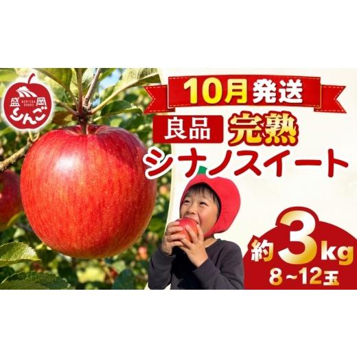 ふるさと納税 果物類 岩手県 盛岡市 先行予約 贈答用 りんご 3kg シナノスイート 良品 <10月発送> 農家直送 果物 フルーツ 林檎 リンゴ シャキシャキ 国…