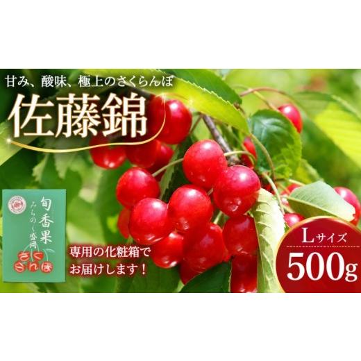ふるさと納税 果物類 さくらんぼ 岩手県 盛岡市 さくらんぼ 佐藤錦 L 500g 6月下旬発送 期間限定 季節限定 大粒 果汁 甘 ジューシー 人気 果物 くだもの チェ…