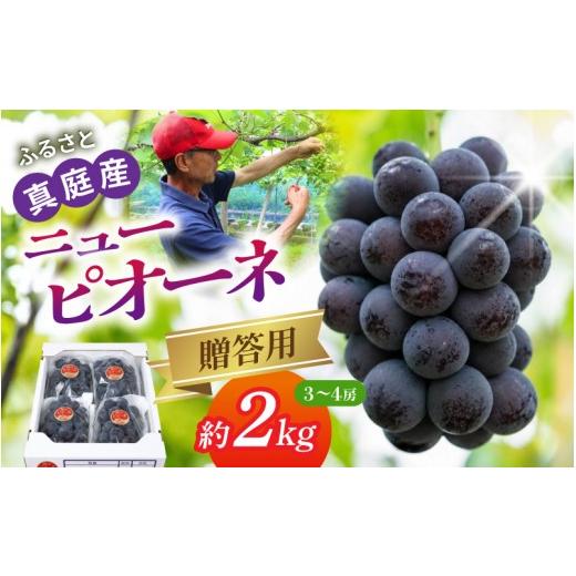 ふるさと納税 果物類 ぶどう 岡山県 真庭市 [贈答用]岡山の自然がはぐくむピオーネ 約2kg beac002-01