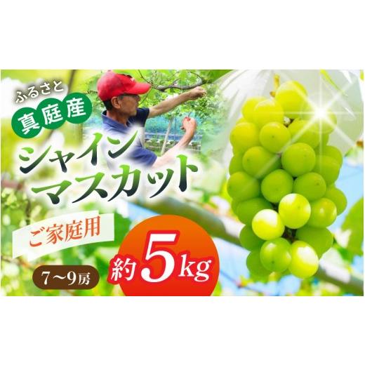 ふるさと納税 ぶどう マスカット 岡山県 真庭市 [ご家庭用]降水量の少ない岡山の自然がはぐくむシャインマスカット「晴天ぶどう」 約5kg (7〜9房)| シャ…