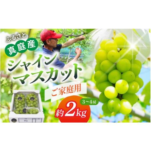 ふるさと納税 ぶどう マスカット 岡山県 真庭市 [ご家庭用]岡山県産 シャインマスカット「晴天ぶどう」 約2kg (3〜4房)| シャインマスカット 果物 フルー…