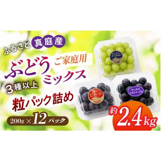 ふるさと納税 ぶどう マスカット 岡山県 真庭市 パック詰め 岡山県産ぶどう3種MIX 約2.4kg | シャインマスカット 果物 フルーツ ピオーネ くだもの 先行予…