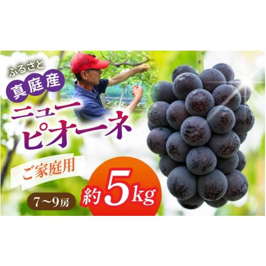 ふるさと納税 果物類 ぶどう 岡山県 真庭市 [ご家庭用]岡山の自然がはぐくむピオーネ 約5kg (7〜9房) beac004-01