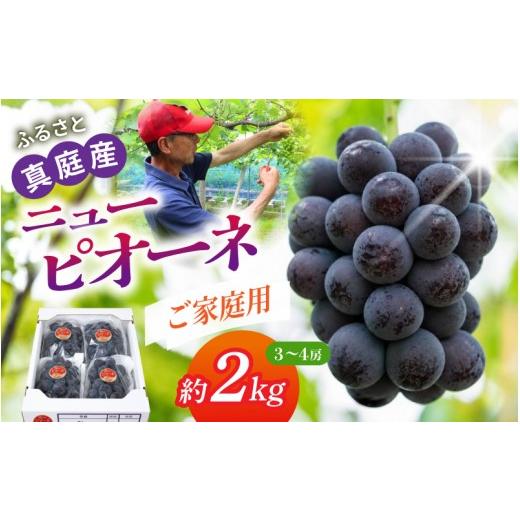 ふるさと納税 果物類 ぶどう 岡山県 真庭市 [ご家庭用]岡山の自然がはぐくむピオーネ 約2kg beac006-01