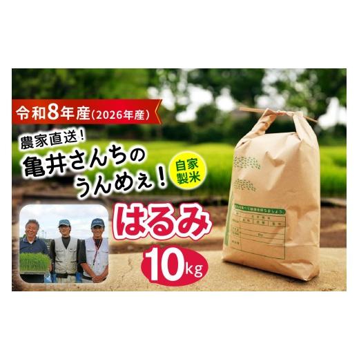 ふるさと納税 米 神奈川県 伊勢原市 新米 令和8年産/10月中旬より順次発送 伊勢原産 精米 10kg (5kg×2袋) はるみ 農家直送 亀井さんちのうんめぇ 自家製米|…