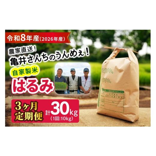 ふるさと納税 米 神奈川県 伊勢原市 新米 定期便/3ヶ月連続 令和8年産/10月中旬より順次発送 伊勢原産 精米 10kg (5kg×2袋) はるみ 農家直送 亀井さんちの…