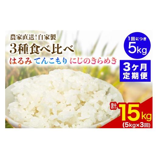 ふるさと納税 米 神奈川県 伊勢原市 定期便/3ヶ月連続 令和8年産/11月上旬より順次発送 新米3種食べ比べ 伊勢原産 精米各5kg (はるみ・てんこもり・にじの…