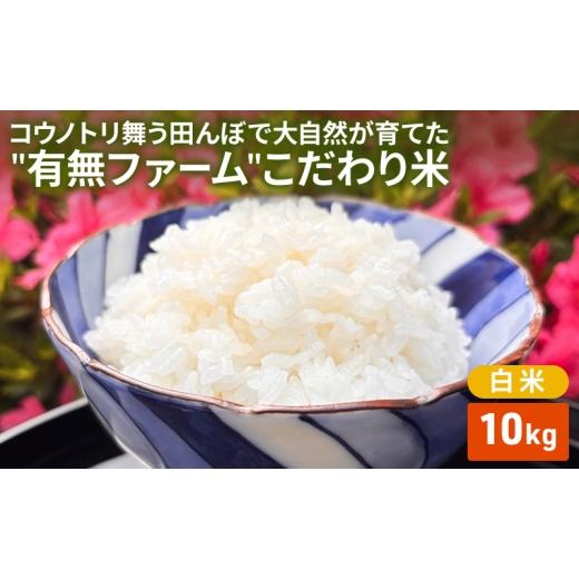 ふるさと納税 米 ヒノヒカリ 兵庫県 加西市 米 コウノトリ舞う田んぼで大自然が育てた"有無ファーム"こだわり米 白米 10kg 精米 お米 栽培期間中農…